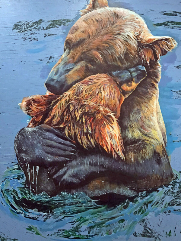 Grizzlies Bear Hug Great Bear Rainforest